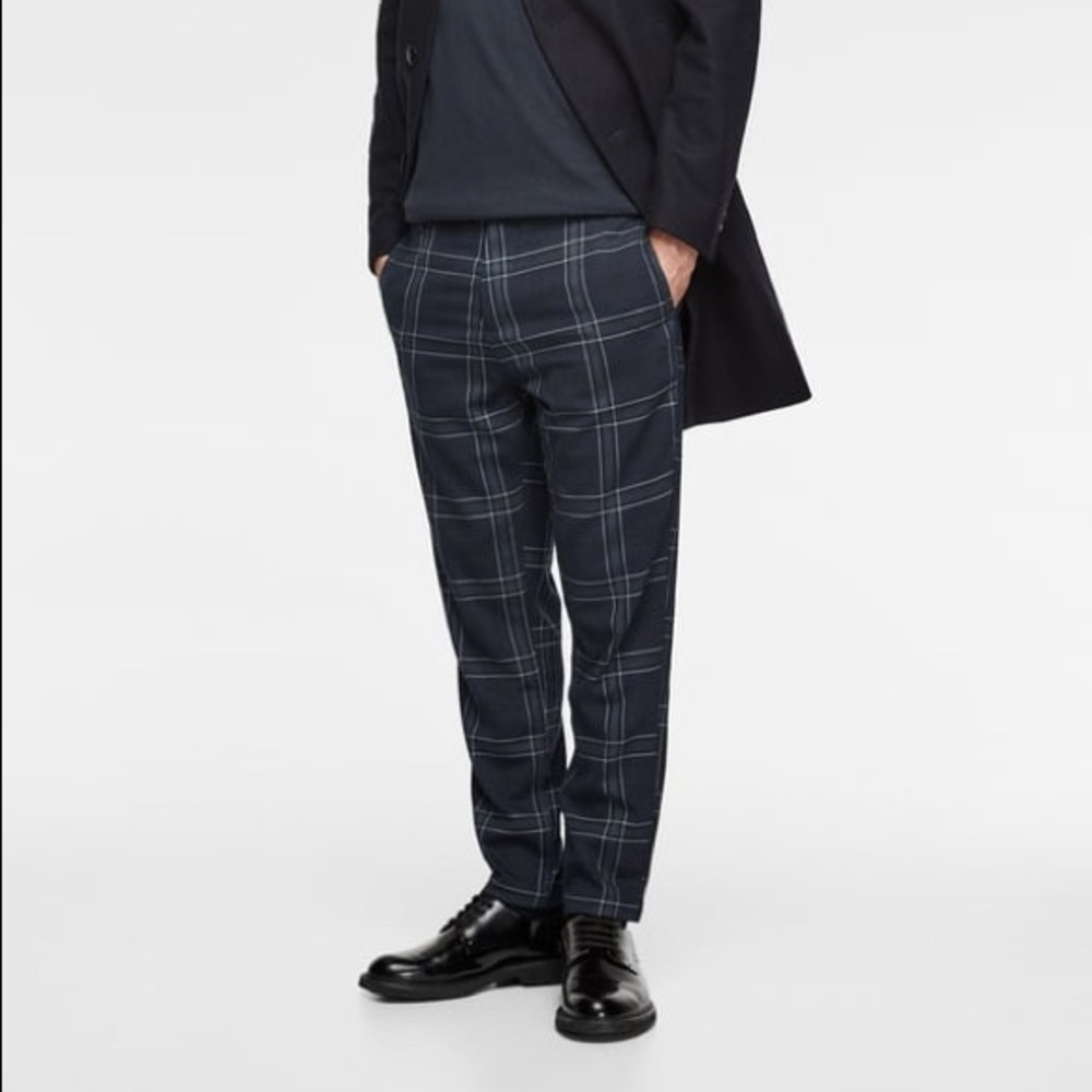 Zara xl plaid plants